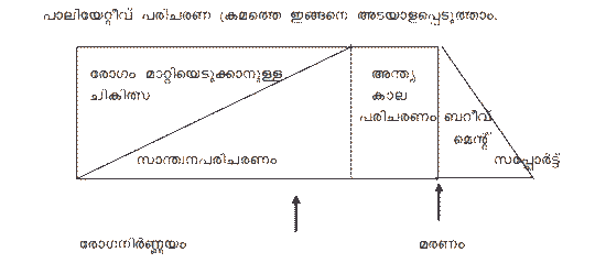 Palliative care phases